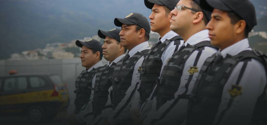 Seguridad y vigilancia